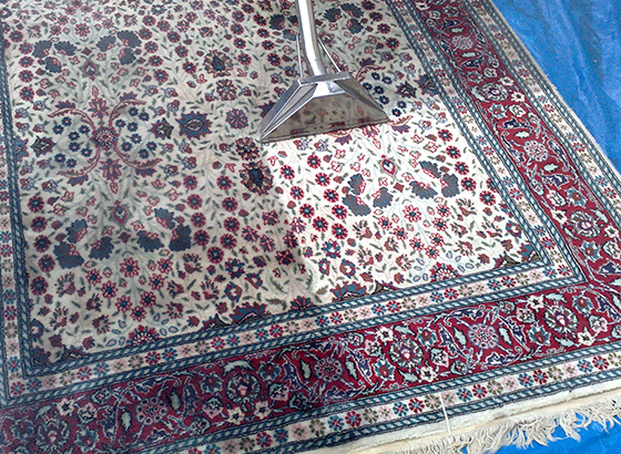 How Unsafe Are Your Filthy Rug Give A Few Hints To Eliminate The Soil