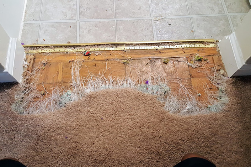 Technique Followed By Professional To Repair Carpet Holes At Your Home