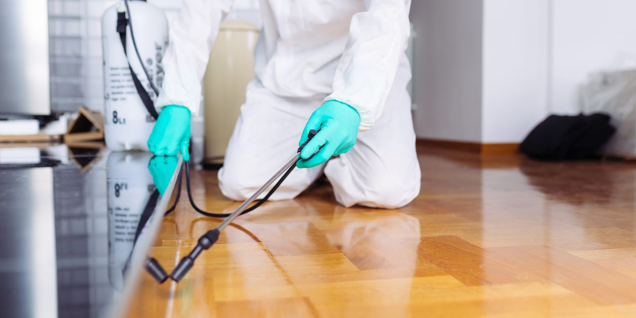 Commercial Pest Control: How To Know When To Have One?