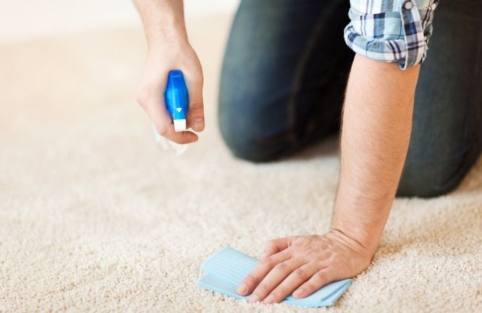 What Should You Do If a Carpet Is Wet?