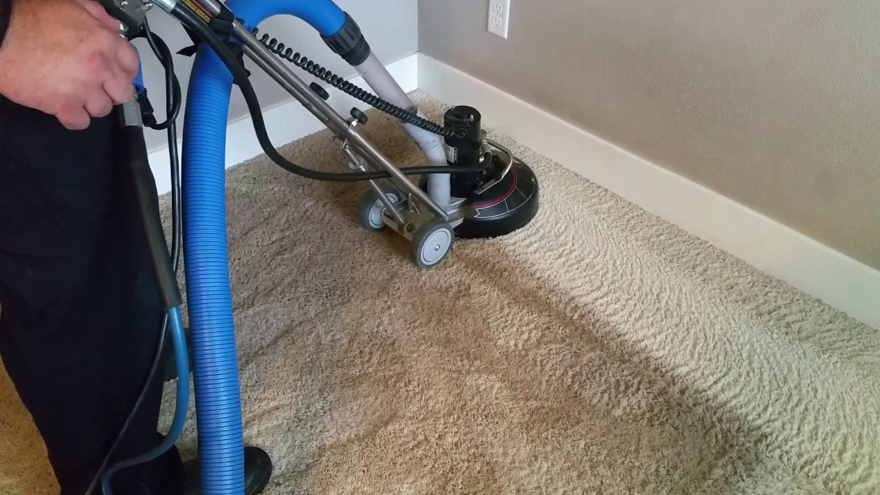 Carpet Cleaning Services Take Proper Care of the Carpet While Cleaning