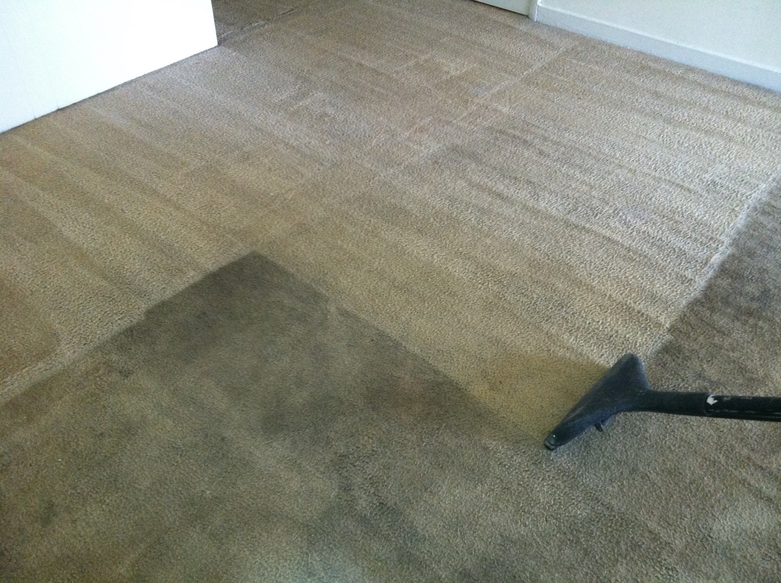 Steps You Can Implement for Eliminating Dry Carpet Stains