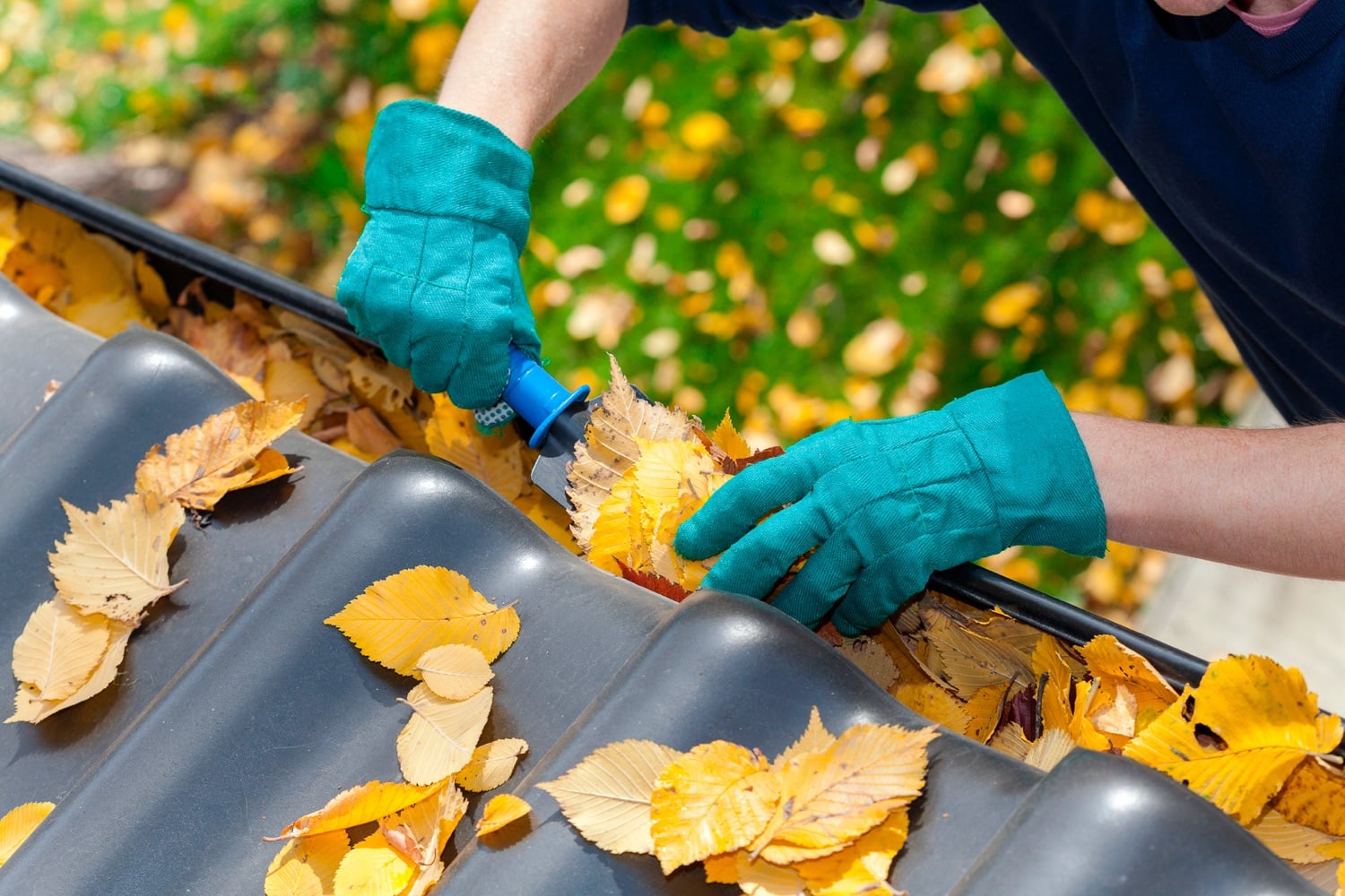 How Gutter Cleaning Enhances Melbourne Home's Curb Appeal