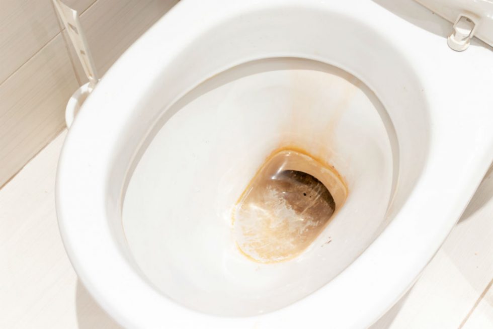4 Ways To Remove Gross Brown Toilet Stains