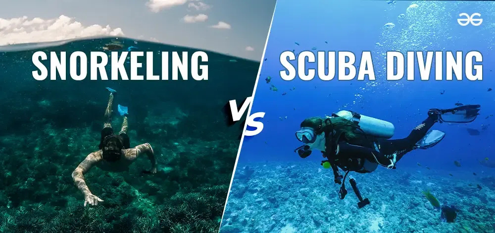 Snorkelling vs. Scuba Diving: Which Is Right For You?