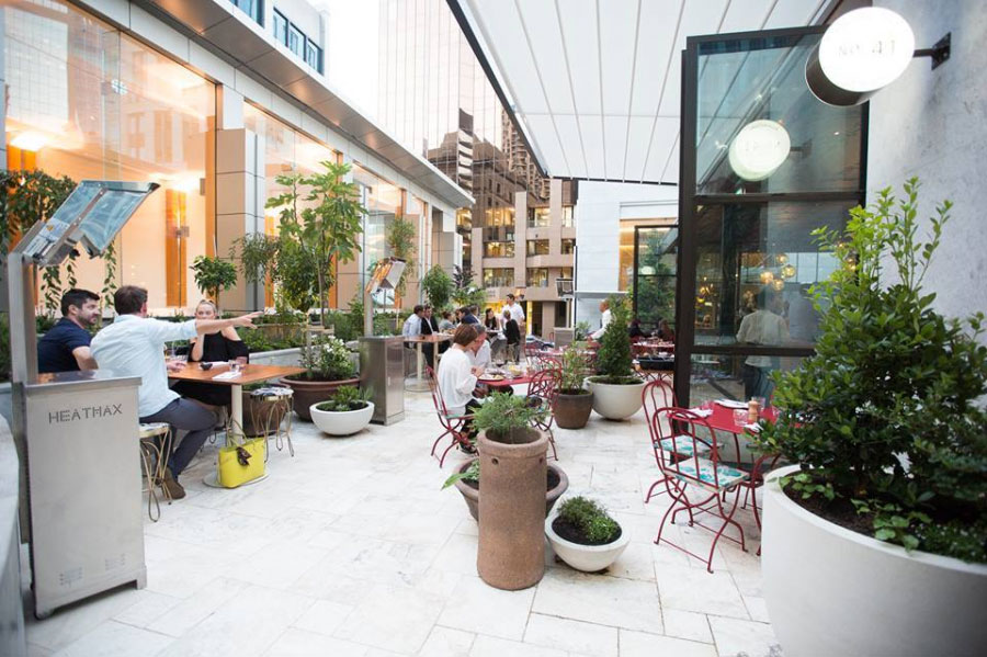 Smart Pergola Design for Thriving Gardens