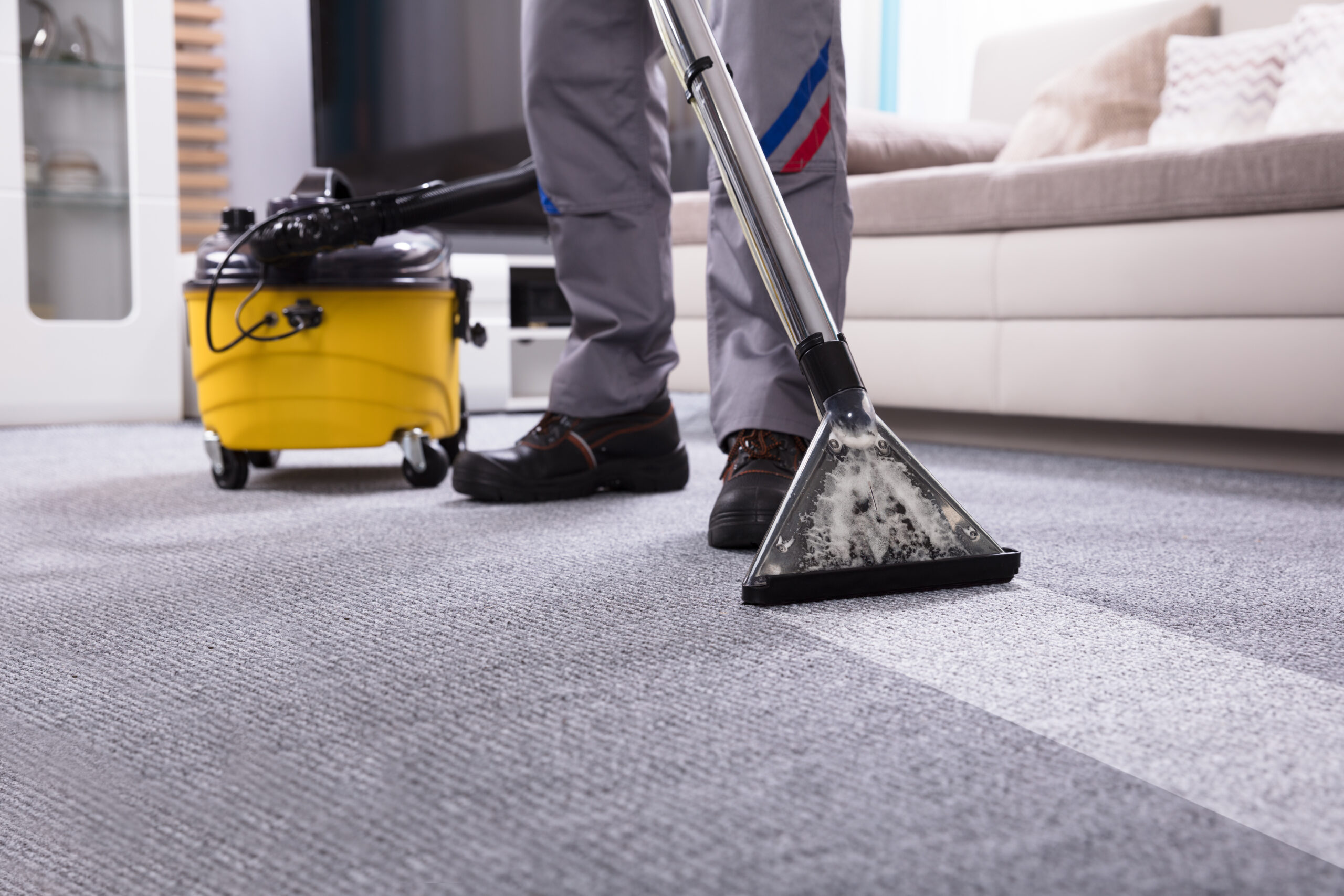 Things To DO For Area Rug Cleaning