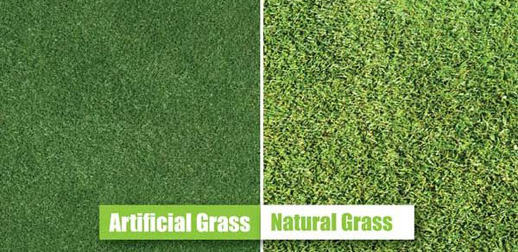 Artificial Grass vs. Natural Grass: Which is Right for You?