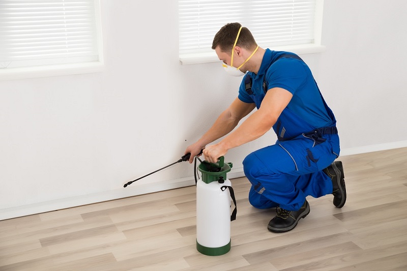 Different Types of Pest Control Methods