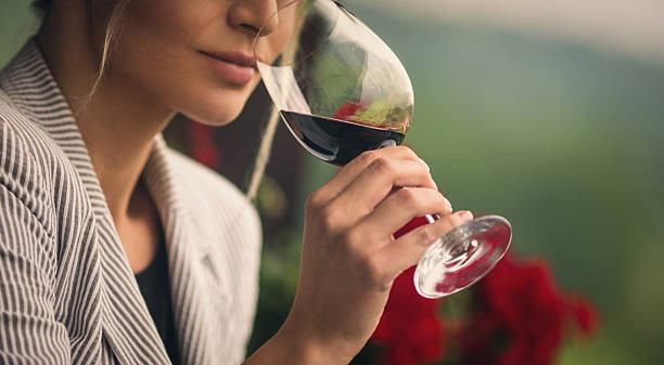 Unveiling the Guided Wine Tasting Experience