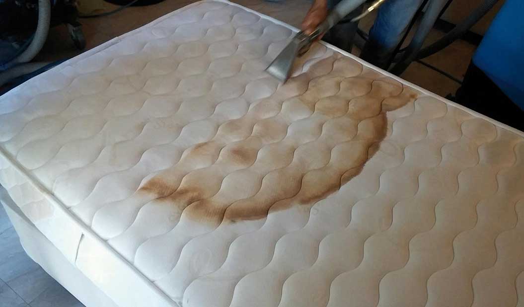Learn Here The Right Way To Vacuum Your Mattress