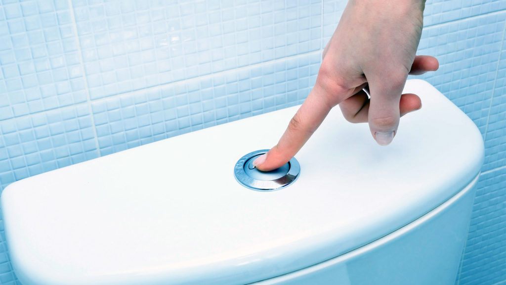 Why Won't My Toilet Flush?: 6 Easy Solutions