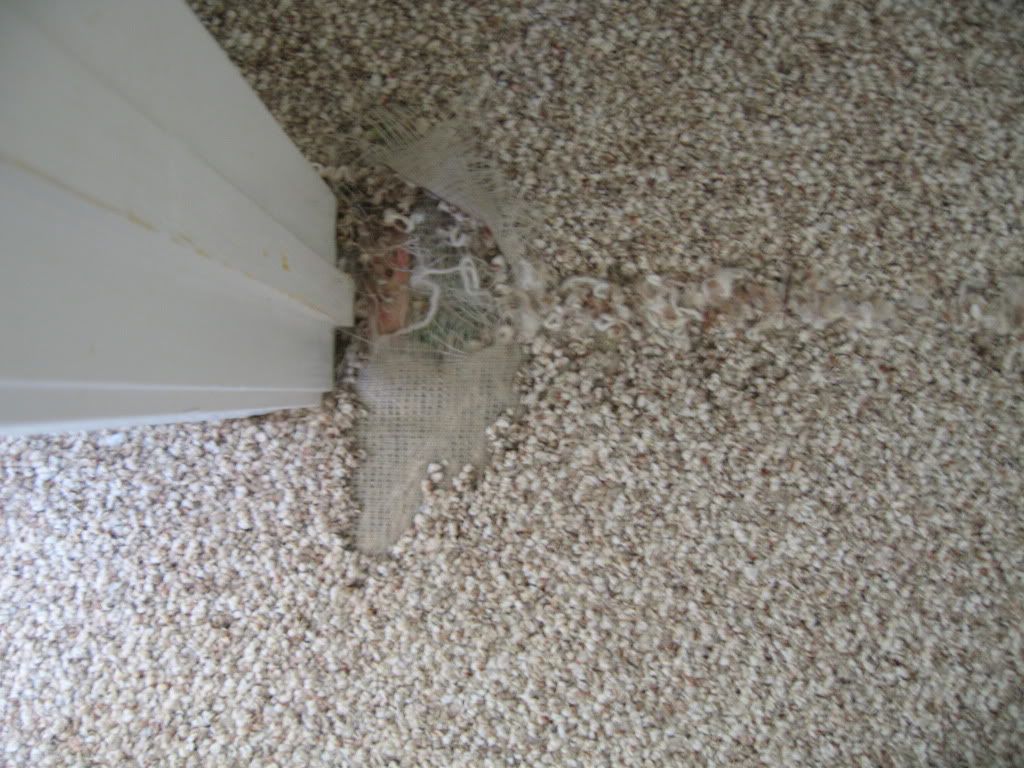 Cost To Repair a Patch of Carpet