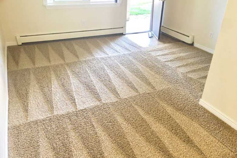 How do I Maintain After A Professional Carpet Cleaning