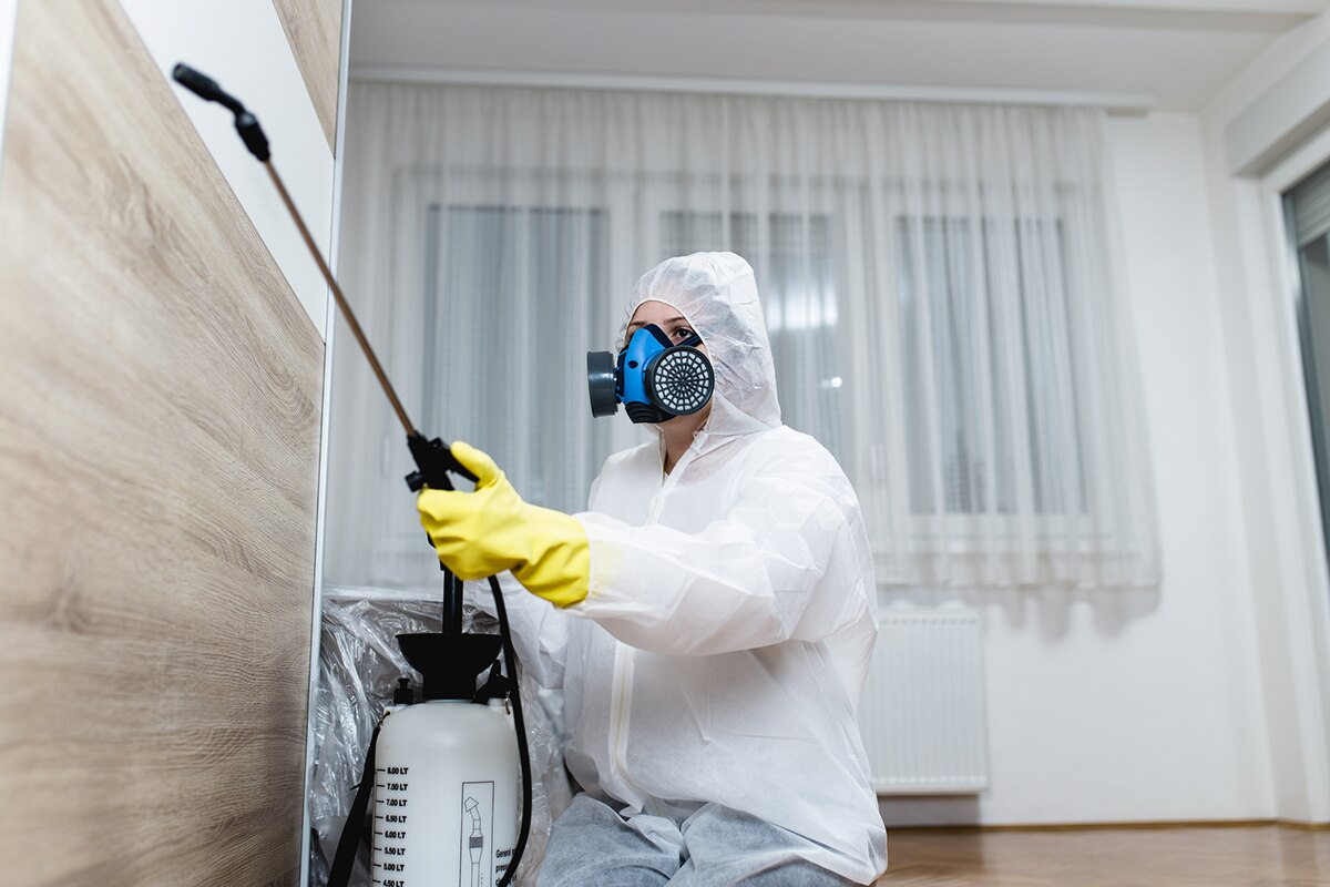 Pest Control Services: Can They Really Solve Pest Problems?